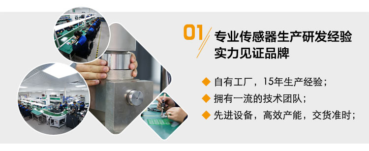 BSQ-1 精密抗干扰称重变送器